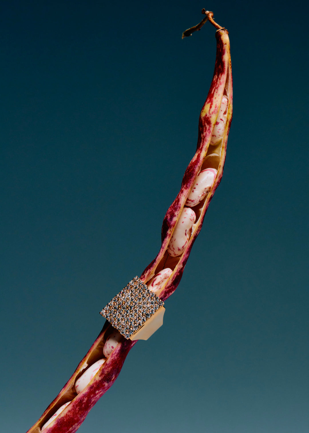 MariaPia anello gold